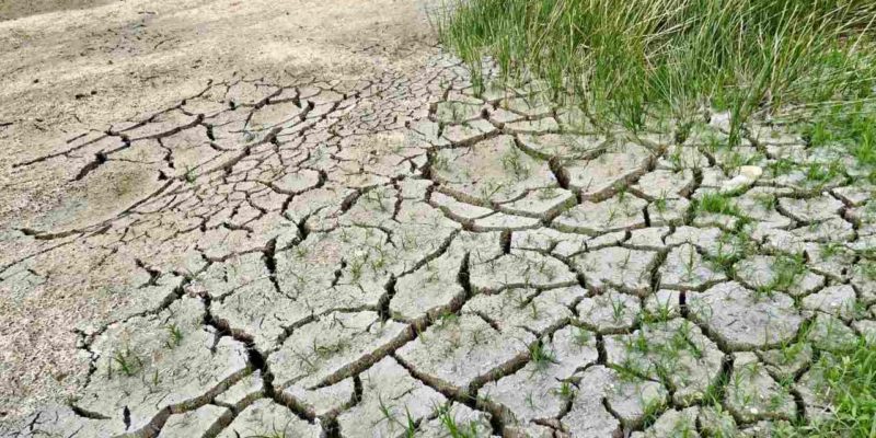 Problematic Soils in India