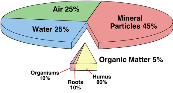 Soil Components