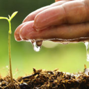 Soil Moisture Uses