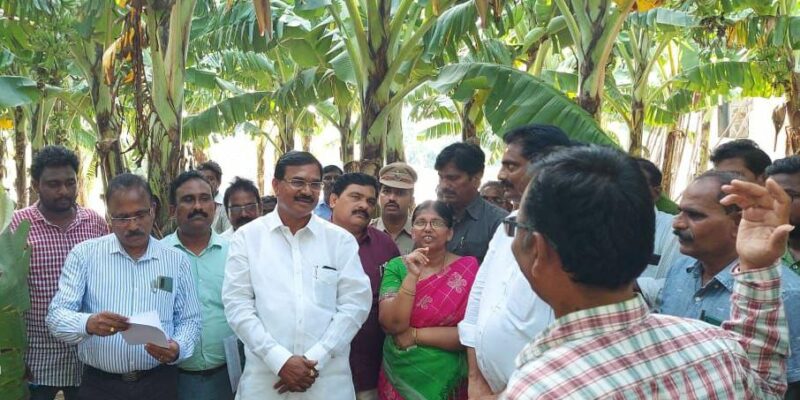 TS Agri Minister Niranjan Reddy