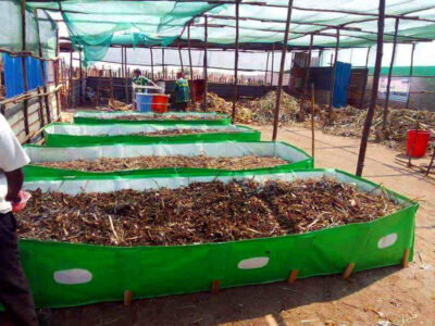 Vermicompost Beds