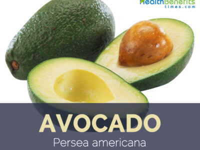 Avocado