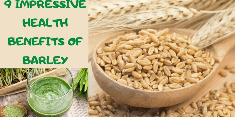 Barley Benefits