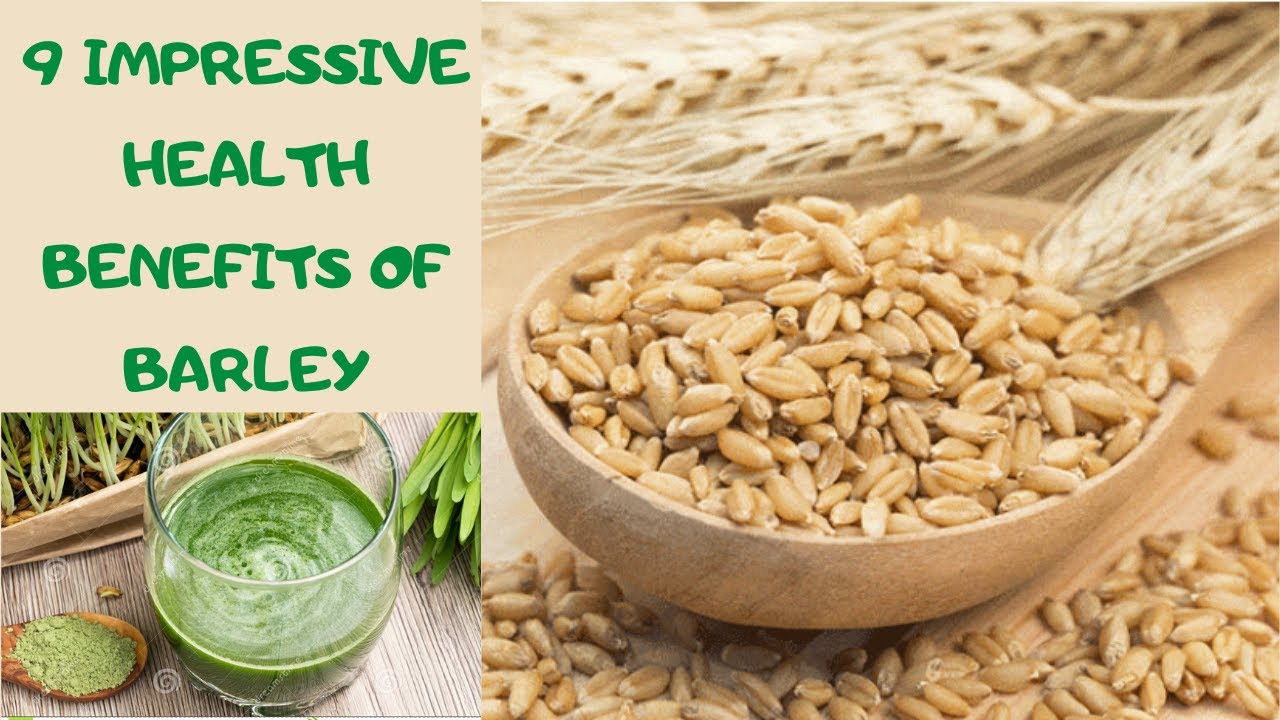Barley Health Benefits 