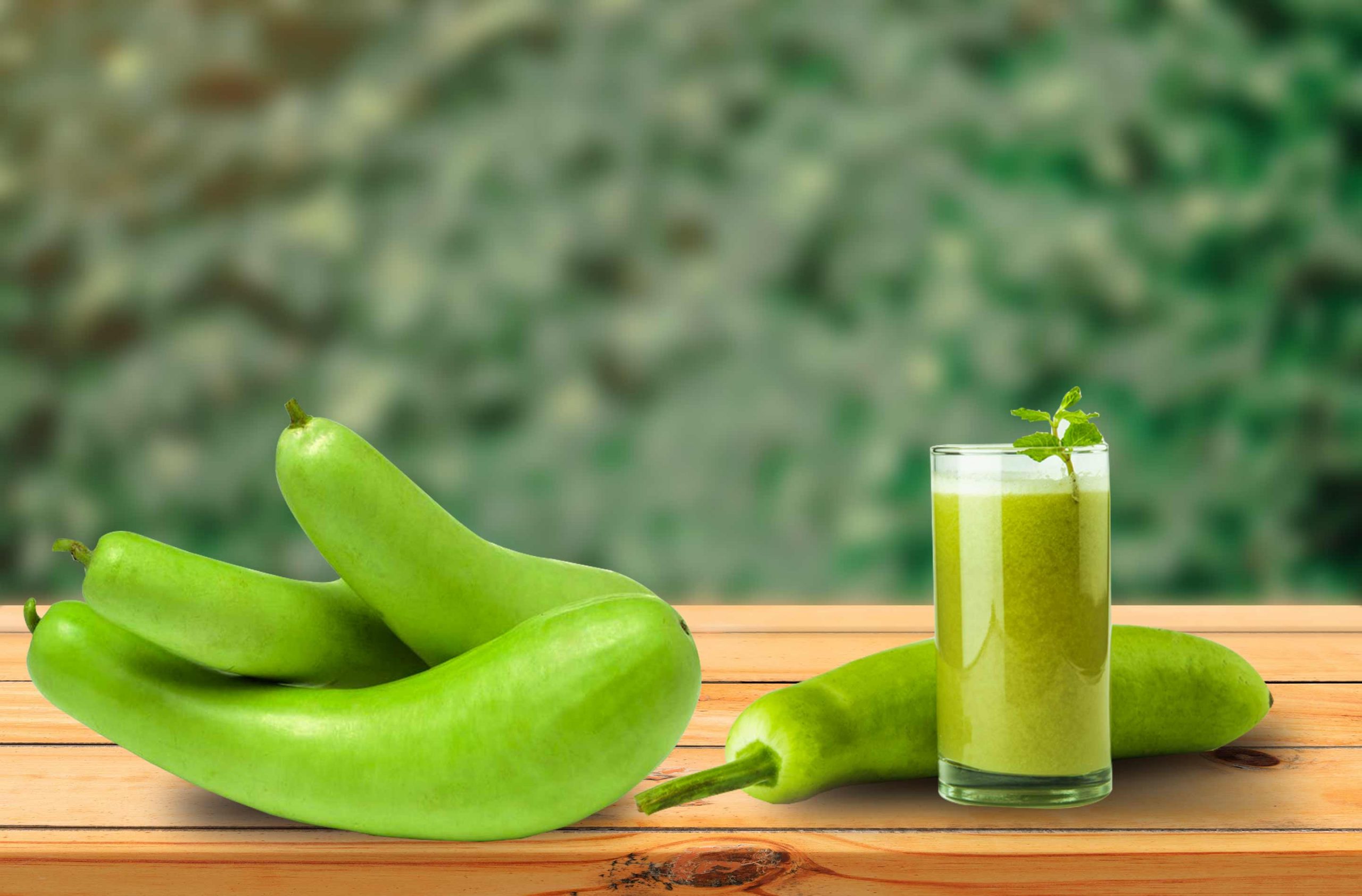 Bottle Gourd Cultivation Income