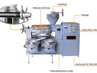 Castor Oil Press Machine