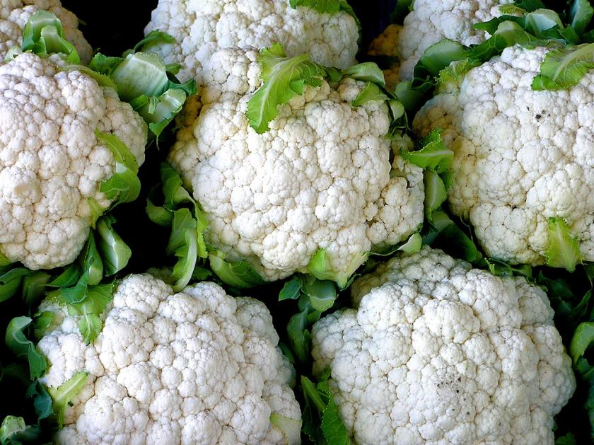 Cauliflower Cultivation