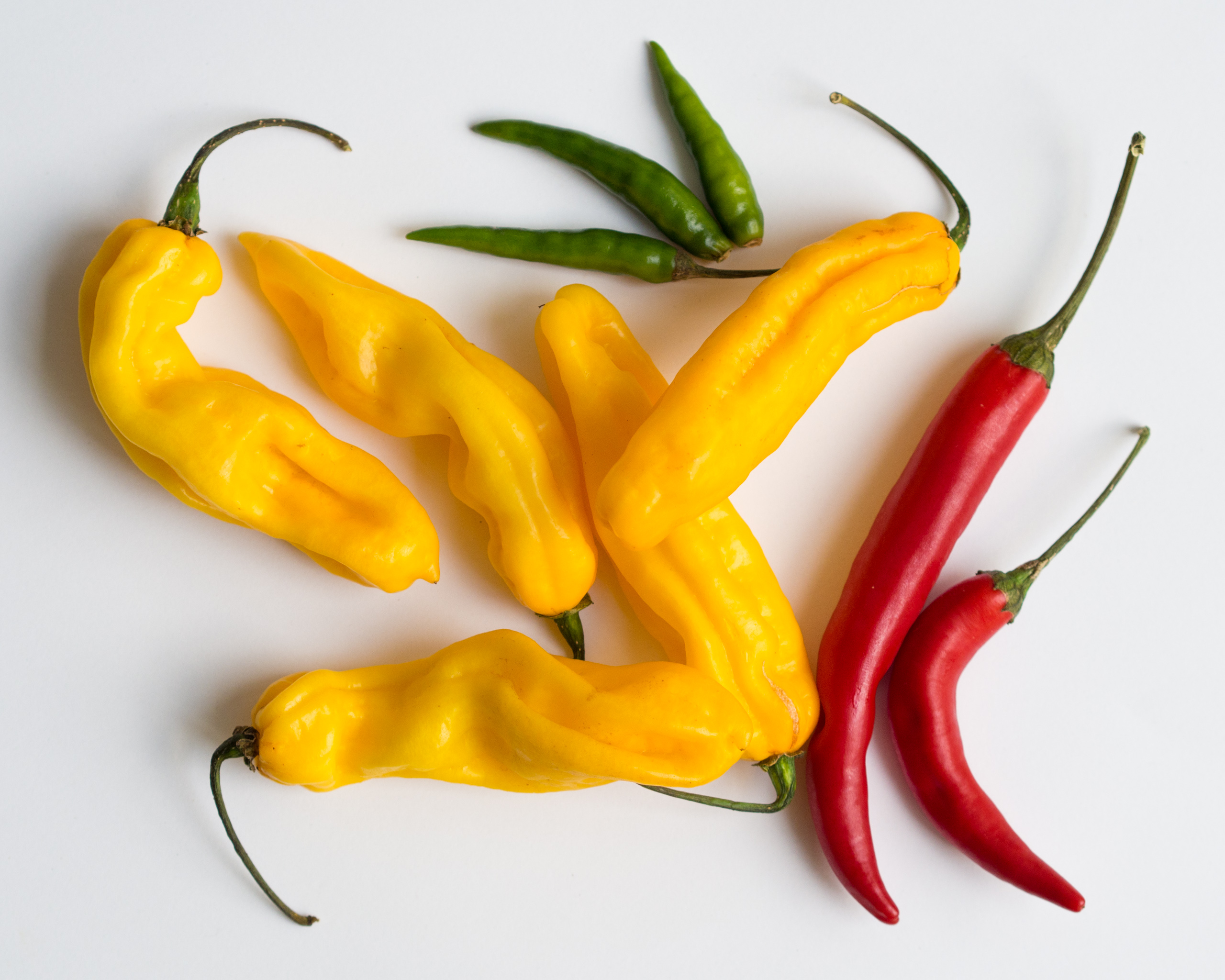 Varieties of Chili