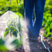 Herbicides
