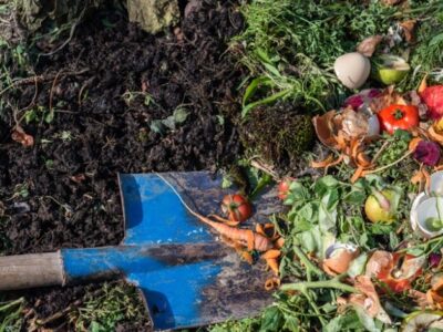 Compost Preparation