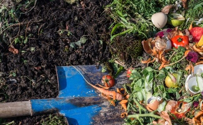 Compost Preparation