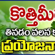Coriander Benefits
