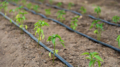 Drip Irrigation Equipments