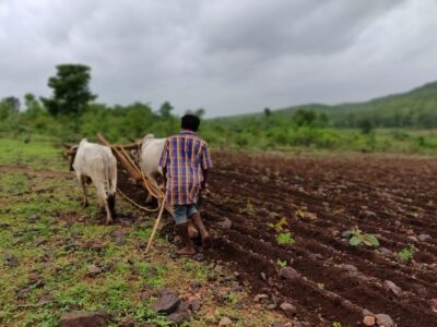 Dryland Agriculture