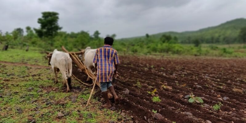 Dryland Agriculture