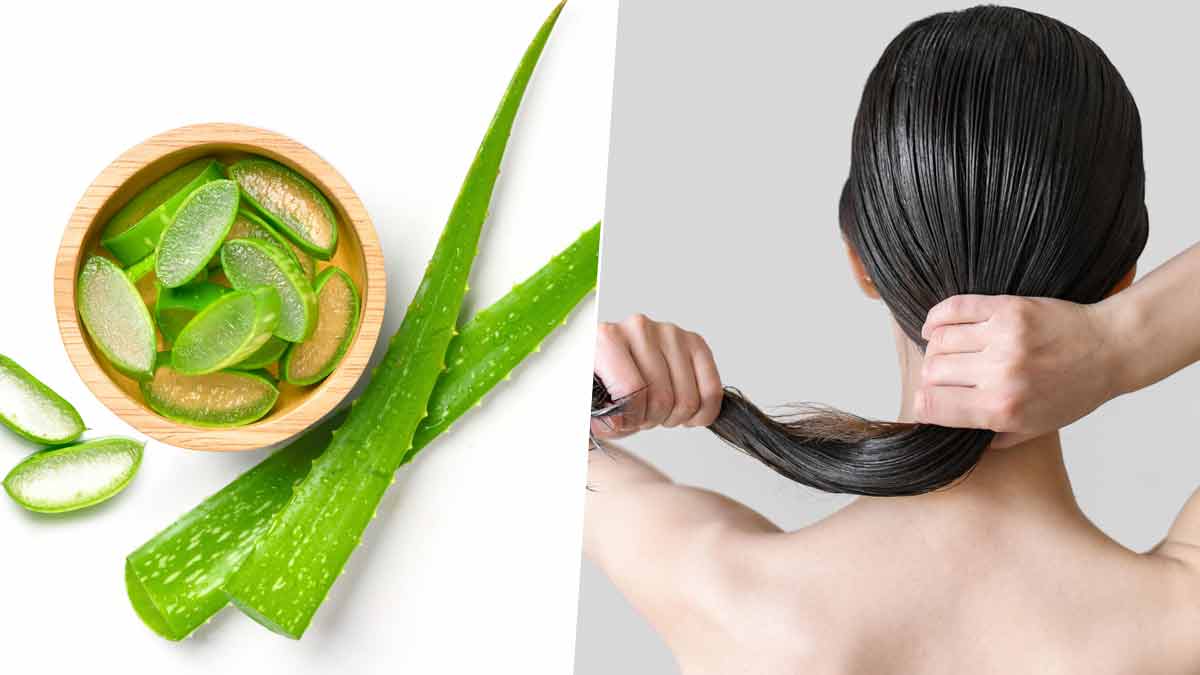 Effect of Aloe vera on Hair