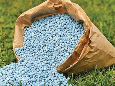 Fertilizers