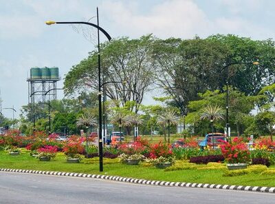 Fodder cultivation on highway dividers