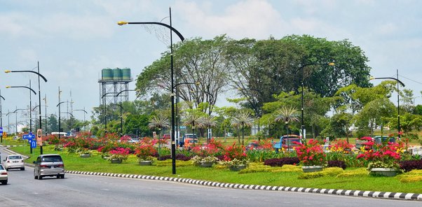 Fodder cultivation on highway dividers