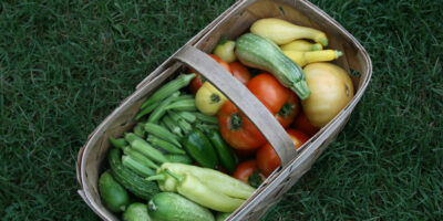 Fruits and Vegetables Harvesting