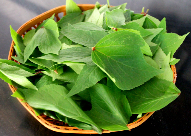 Gongura Leaves Health Benefits