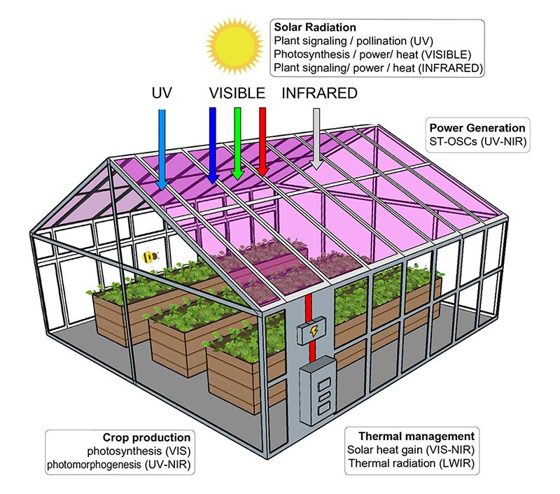 Green House Structure