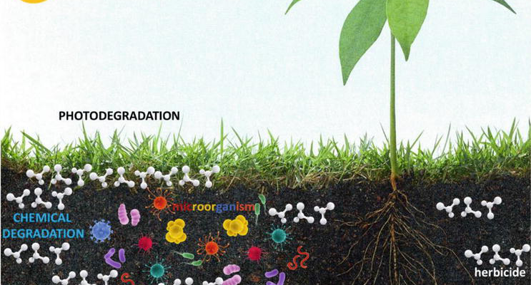 Herbicide Properties