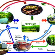 Integrated Farming Practices