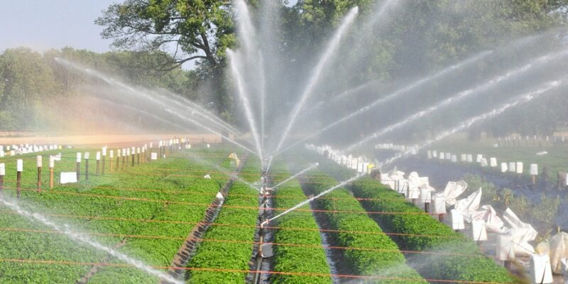 Irrigation