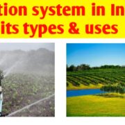 Irrigation Methods in India