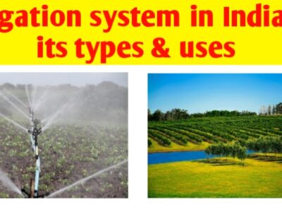 Irrigation Methods in India