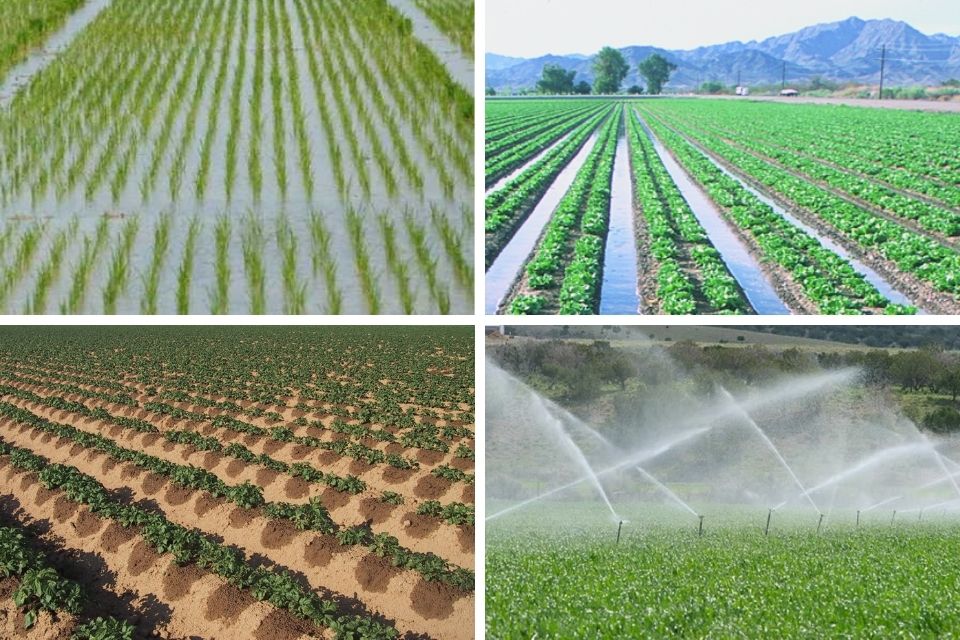 Irrigation Methods