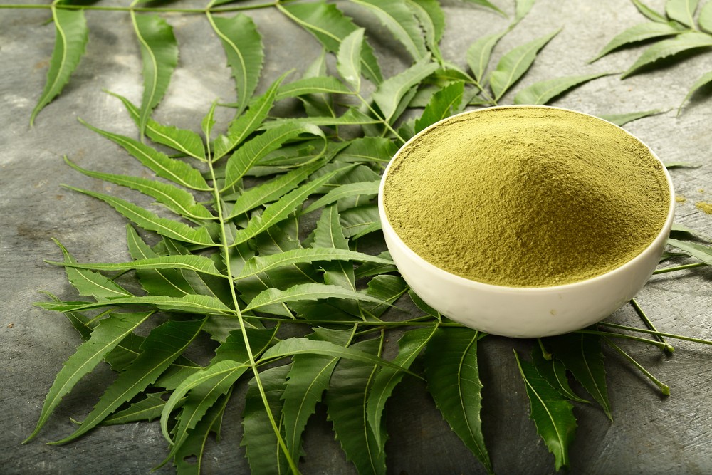 Medicinal Uses of Neem