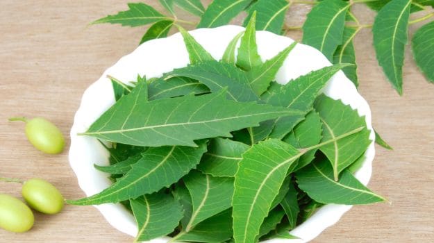 Medicinal Uses of Neem