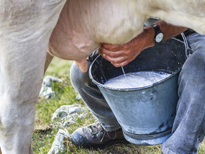 Milking Methods