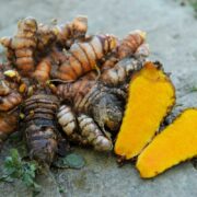Turmeric Crop