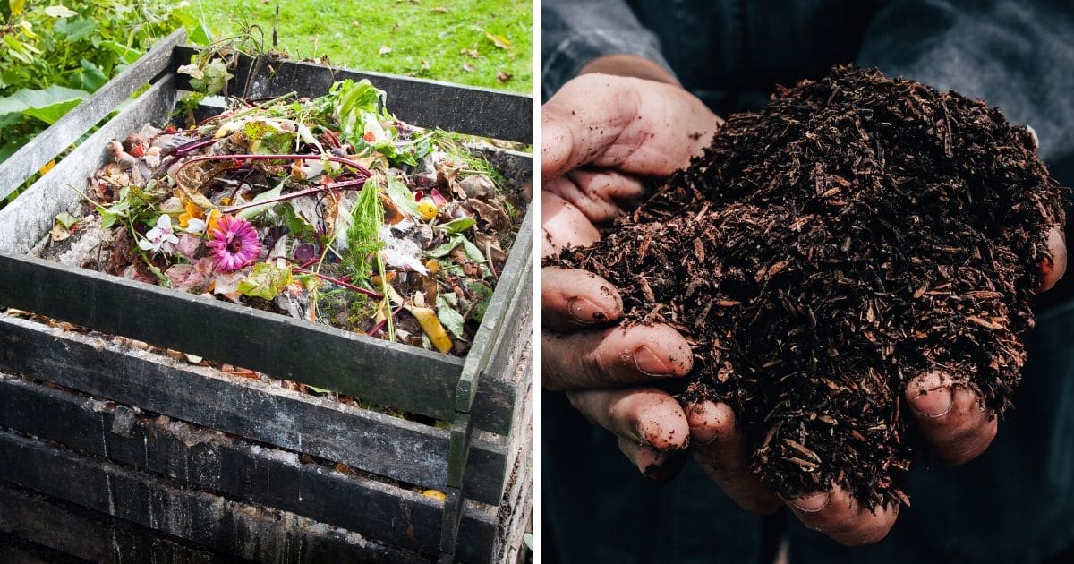 Organic Fertilizers Preparation