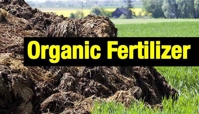 Organic Fertilizers