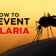 Malaria Prevention