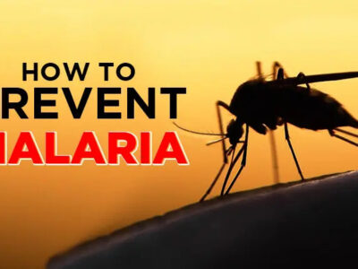 Malaria Prevention