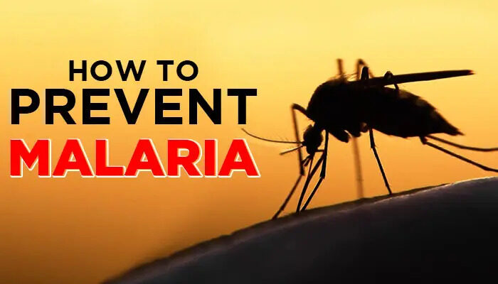 Malaria Prevention