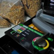Rice Grains Moisture Content