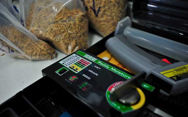 Rice Grains Moisture Content