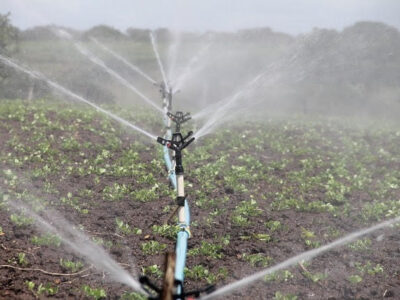 Watering