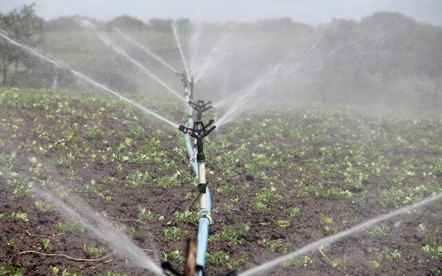 Watering