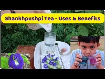 Shankapushpi Tea Health Benefits