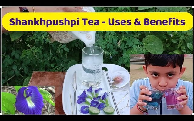 Shankapushpi Tea Health Benefits