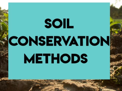 Soil Conservation