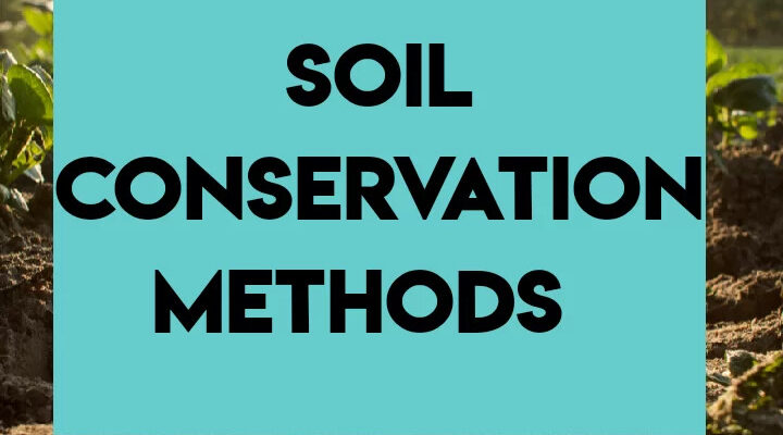 Soil Conservation