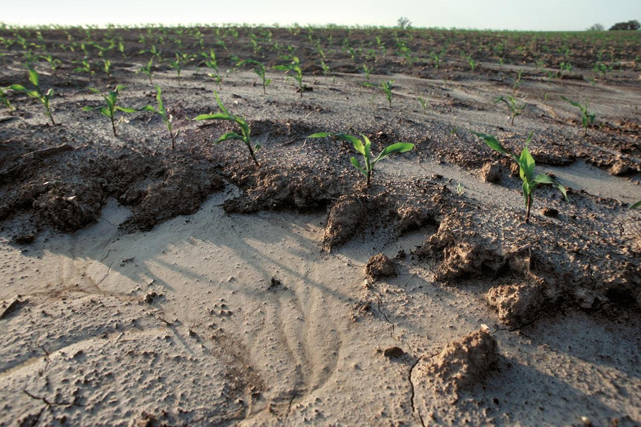 Soil Erosion